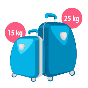 maletas de viaje 15 kg